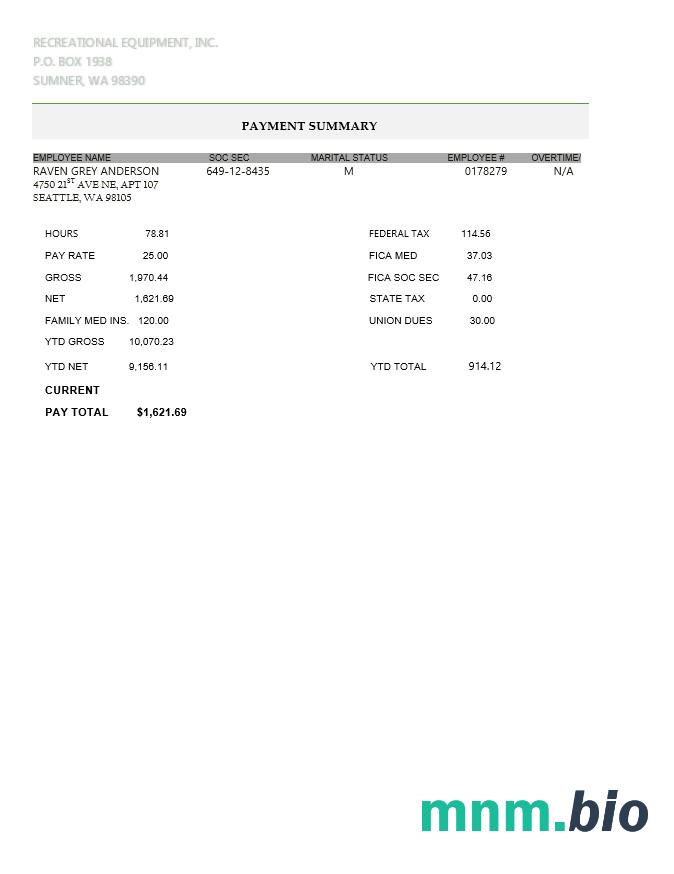 Sprzęt rekreacyjny LLC pay stub w formacie PDF i WORD